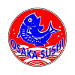Osaka Sushi Japanese logo